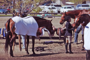 Laura Wasserman 2011 HITS Desert Circuit