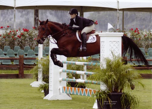 Ashley Pryde and Chaucer Modified Junior-A/O Jumpers 2009 Showpark Photo Captured Moment