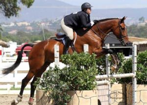 Chelsea Samuels and Bruno Mars CPHA Foundation Finals 22 & Over 2013 Showpark Summer Classic Photo Captured Moment