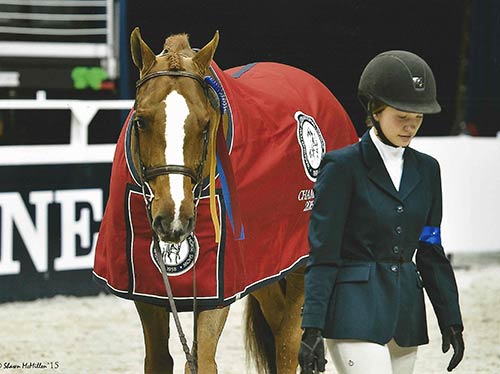 Hunter Siebel and Pure Abundance Champion Large Junior Hunter 15 & Under 2015 Washington International Photo Shawn McMillen