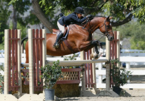 Laura Wasserman and Back in the Game Amateur Owner Hunter 36 & Over 2013 Showpark Summer Classic Photo Captured Moment