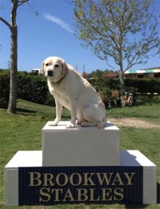 Zoe Fout National Champion 2013 Blenheim Spring I