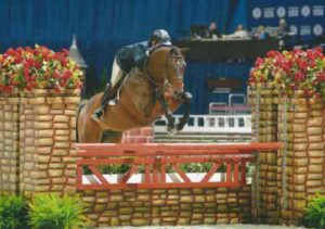 Virginia Fout and Classified Amateur Owner Hunter 3'6" 2014 Washington International Photo Shawn McMillen