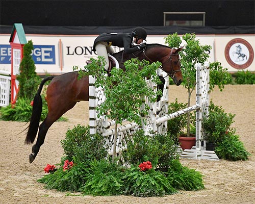 Katherine Dash and Boss owned by Laura Wasserman 2017 Washington International Photo Shawn McMillen