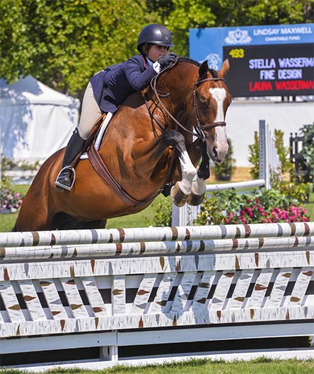 Stella Wasserman and Fine Design 2012 Sonoma Horse Park Photo Grand Prix Photo