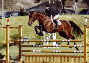 Ashley Pryde and Chaucer WCE Winner 2009 Showpark Photo Captured Moment