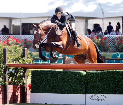 Nicole Hasteltine and Biltmore $10,000 Special USHJA Hunter Derby 2012 Showpark Racing Festival Photo Captured Moment