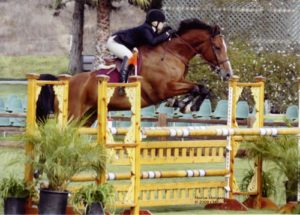 Ashley Pryde and Van Gogh Modified Junior Jumpers 2009 Showpark Photo Captured Moment