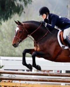 Joan Haseltine and Biltmore Amateur Owner Hunter 2012 Showpark Ranch & Coast Photo Captured Moment
