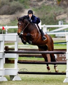 Nicole Hasteltine and Copado Modified Amateur Owner Jumper 2012 Showpark Ranch & Coast Photo Captured Moment