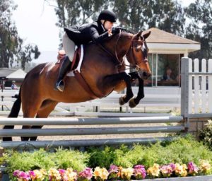 Ashley Pryde and Truly Amateur Owner Hunter 18-35 2012 Showpark Ranch & Coast Photo Captured Moment