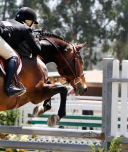 Ashley Pryde and Truly Amateur Owner Hunter 18-35 2012 Showpark Ranch & Coast Photo Captured Moment