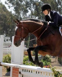Joan Hasteltine and Biltmore Amateur Owner Hunter 2012 Showpark Ranch & Coast Photo Captured Moment