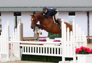 Virginia Fout and Cristiano Adult Amateur Owner Hunter 2015 Sonoma Horse Park