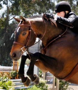 Ashley Pryde and Truly Amateur Owner Hunter 18-35 2012 Showpark Ranch & Coast Photo Captured Moment