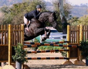 Virginia Fout and Over the Moon owned by Victoria Kommisar 3rd CPHA Foundation Finals 22 & Over 2011 Showpark Summer Festival photo Horse in Sport
