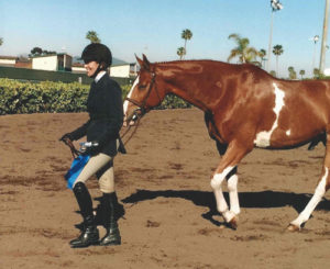 Ecole Nauber and Banderas 3'3" Amateur Owner Hunter 2015 Del Mar National