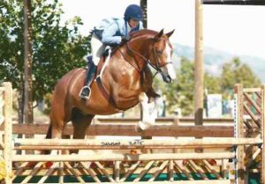 Ecole Nauber and Banderas Low Adult Hunter 2015 Giant Steps Charity Classic Sonoma Horse Park Photo Deb Dawson