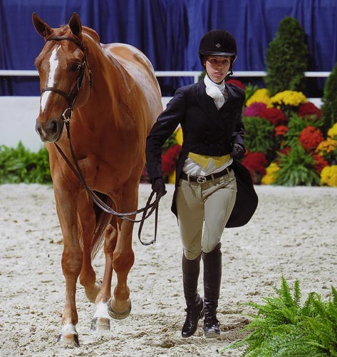 Gabbi Langston and Azlan Large Junior Hunter Stake Class 2011 Washington International Horse Show Photo Shawn McMillen