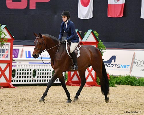 Katherine Dash and Boss owned by Laura Wasserman 2017 Washington International Photo Shawn McMillen