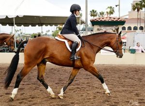 Stella Wasserman and Fine Design 2017 Del Mar National Photo Osteen