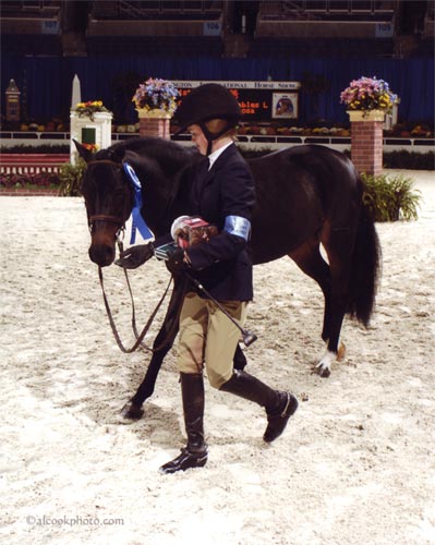 Shaffer Raposa and Tuscany owned by West End Stables Winner Medium Pony Hunters 2007 Washington International Photo Al Cook