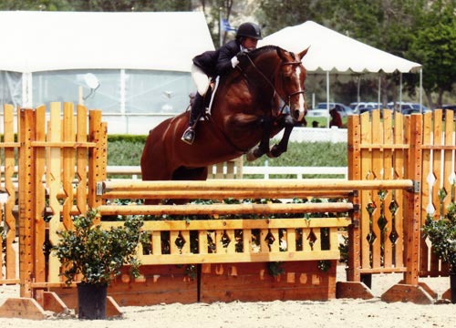 Teddi Mellencamp and Conversation Piece owned by Jessica Singer Winner Regular Conformation Hunters 2010 Showpark Photo Horse in Sport