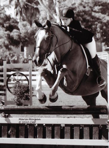 Ashley Pryde and Wesley Champion Small Junior Hunters 16-17 2010 Showpark Photo Captured Moment