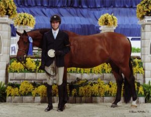 Chase Boggio and Kennzo de Conte Winner Small Junior Hunter 16-17 2011 Washington International Horse Show Photo Shawn McMillen