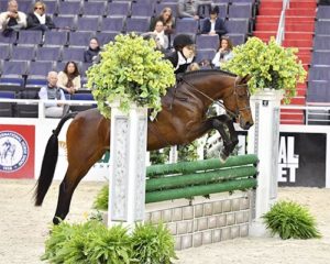Katherine Dash and Boss owned by Laura Wasserman 2017 Washington International Photo Shawn McMillen