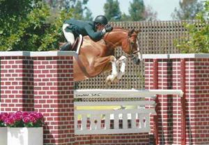 Nick Haness and Banderas owned by Ecole Nauber Champion High Performance Hunter 2015 Giant Steps Charity Classic Sonoma Horse Park Photo Deb Dawson