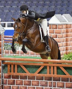 Katherine Dash and Boss owned by Laura Wasserman 2017 Washington International Photo Shawn McMillen