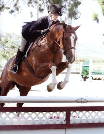 Polly Sweeney and Duet Champion Adult Hunter 2014 Showpark Racing Festival Photo Captured Moment