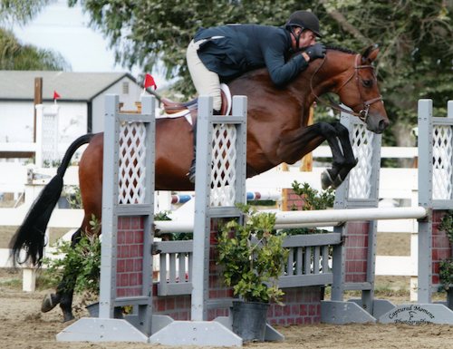 Archie Cox and Boss owned by Laura Wasserman 2014 Showpark Photo Captured Moment