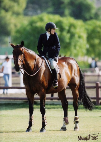 Nicole Hasteltine and Magic Act 2008 Large Junior Hunter 16-17 Champion Photo Cathrin Cammett