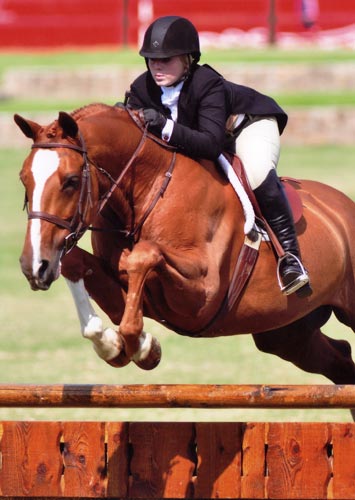 Ashley Pryde and Wesley $10,000 USHJA International Hunter Derby 2010 Showpark Photo Horse in Sport