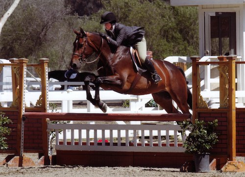 Meredith Mateo and Carpendale Amateur Owner Hunter 18-35 3'3" 2014 Showpark Photo Captured Moment