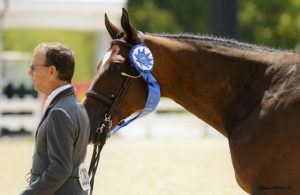 John French and Laura Wassermans Skyhawk Winners of the 2017 USHJA International Hunter Derby Championship Lexington KY Photo McMillen