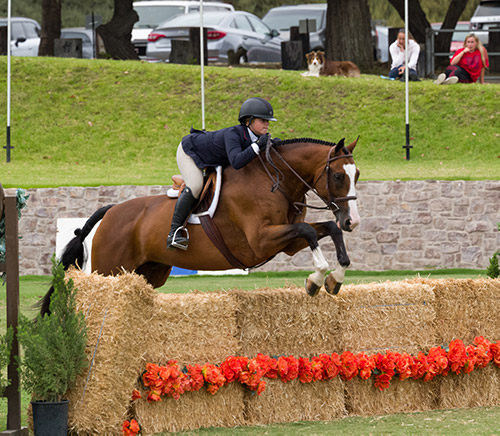 Stella Wasserman and Fine Design 2017 Junior Hunter Finals