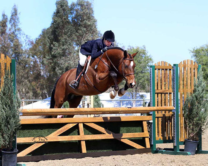 Gina Ross and Beckham Amateur Owner Hunter 2018 Temecula National Horse Show Photo by Captured Moment Photography