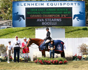 Ava Stearns and Laura Wasserman's Bocelli 2018 Jr. Hunter Finals National Championship-West Grand Champion 3'6" Photo by Captured Moment