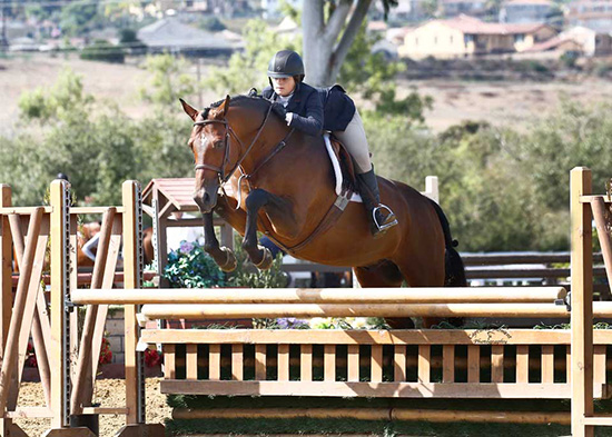 Stella Wasserman and Boss 2018 Showpark Photo by Captured Moment Photography