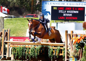 Stella Wasserman and Skyhawk 2018 Showpark Large Junior Hunter 15 & Under Photo by Captured Moment