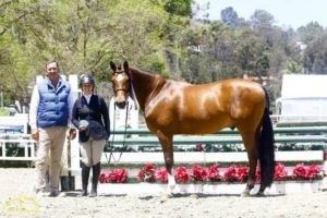 Virginia Fout and Cristiano 2016 Showpark Photo by Captured Moment