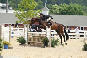 Virginia Fout and Carma 2018 Devon Horse Show Amateur Owner Hunter 3'3" Over 35, Champion