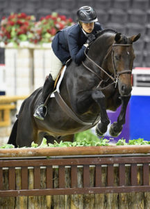 Virginia Fout and Carma 2018 National HS Amateur Owner Hunter 3'3" Over 35, Champion