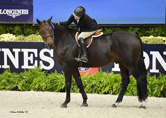 Virginia Fout and Carma 2018 National Horse Show Amateur Owner Hunter 3'3" Over 35, Champion Photo by Shawn McMillen