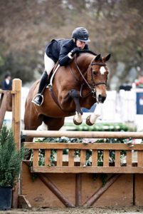Virginia Fout and Cristiano 2018 Showpark Marshall & Sterling AO Hunter 3'6 Hunter Classic Champion Photo by Captured Moment Photography