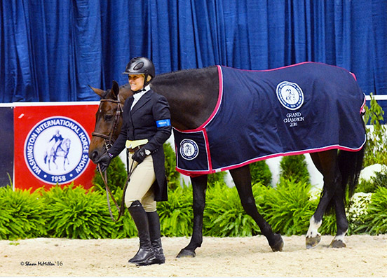 Virginia Fout and Carma Amateur Owner Hunter 3'3", Champion 2016 Washington International Photo by Shawn McMillen