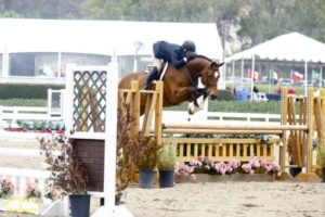 Virginia Fout and Cristiano 2016 Blenheim